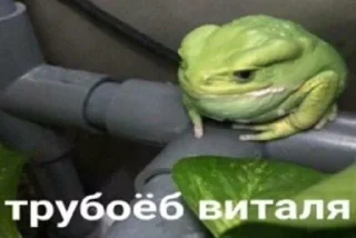 🌟 emoji Тру кринж Telegram sticker 13 of 120