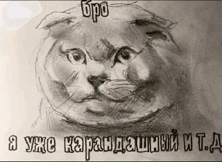 🌟 emoji Бро и тд. Telegram sticker 21 of 26