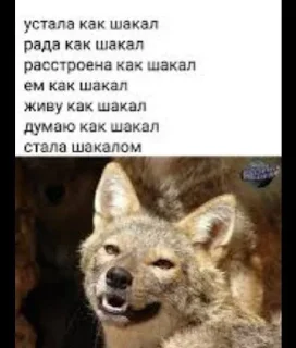 😁 emoji тэтте арбуз Telegram sticker 11 of 13