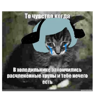 🥲 emoji Коточелы Telegram sticker 11 of 12