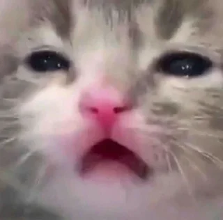 ❤️ emoji я грущу оцтаньте(( Telegram sticker 13 of 18