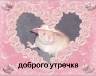 Sticker from memes