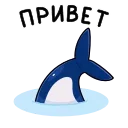🦈 emoji Сати (@TgSticker) Telegram sticker 20 of 48