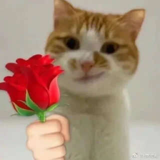 🌟 emoji ✨емейзінг✨ Telegram sticker 13 of 54