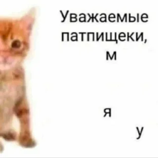Sticker from Со смыслом