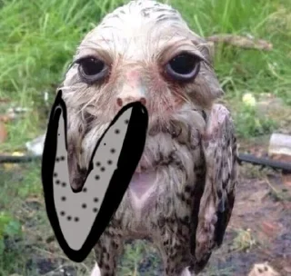 🤫 emoji Солевая сова Telegram sticker 24 of 51