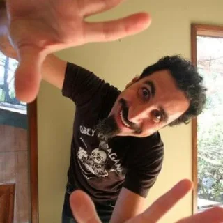 🫲 emoji SOAD Telegram sticker 6 of 120