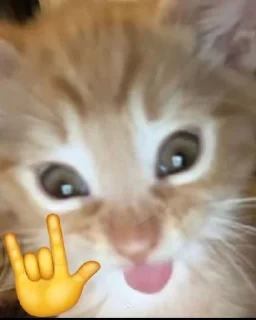 😝 emoji Kitties Telegram sticker 14 of 59