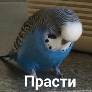 😓 emoji Соник+прикл Telegram sticker 21 of 48