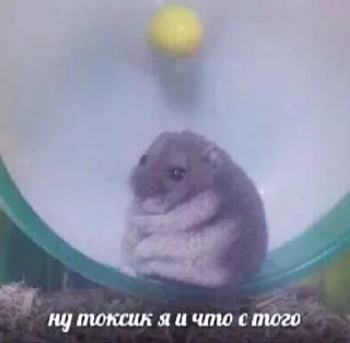 🥺 emoji снупспупс😋 Telegram sticker 20 of 107