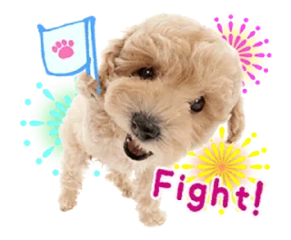 🌟 emoji ╭┈┈┈┈ᴅᴏɢ ┈┈┈┈╮
✮      @Best_Dividers       ✮ Telegram sticker 6 of 16