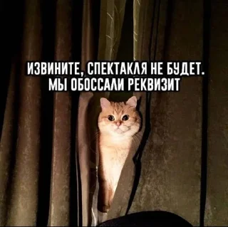 🎭 emoji сеанс молчания by splentaytite Telegram sticker 9 of 95