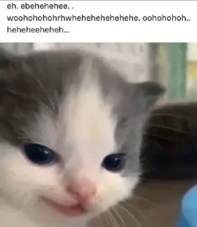 ☺️ emoji хйня от ксю Telegram sticker 13 of 79
