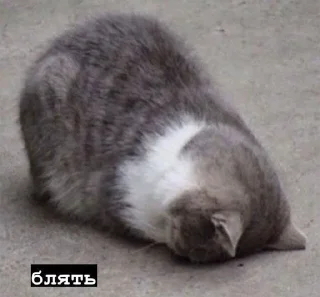 😡 emoji На всі випадки життя Telegram sticker 13 of 119