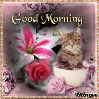 ☀️ emoji Листівочки💐 Telegram sticker 12 of 80