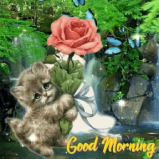 ☀️ emoji Листівочки💐 Telegram sticker 10 of 80