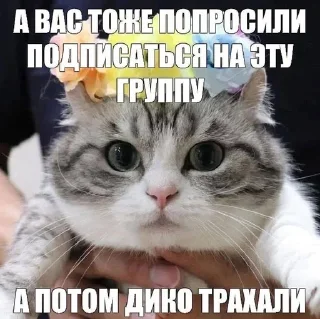 🌟 emoji для одмэнов Telegram sticker 5 of 28