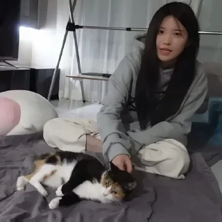 📰 emoji (📰)hayoung @idinxz Telegram sticker 6 of 20