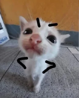😠 emoji Носок Telegram sticker 17 of 22