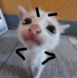 😤 emoji сияние¹ крашиха 💸🤙🏻 Telegram sticker 23 of 119