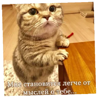 😄 emoji Я тебя люблю by: Crip1ii Telegram sticker 23 of 61