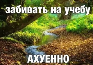 Sticker from сукисуки @gavkk