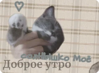 🌟 emoji Стики от гораны Telegram sticker 13 of 19
