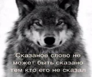 Sticker from Цитатки