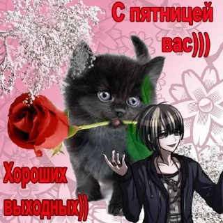 🐈‍⬛ emoji Рантарочка @ Infotyan Telegram sticker 16 of 40