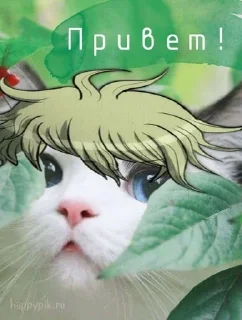 🌿 emoji Рантарочка @ Infotyan Telegram sticker 23 of 40