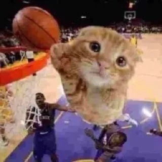 🏀 emoji варю солянку Telegram sticker 24 of 120