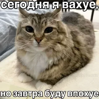 🌟 emoji пупупуу Telegram sticker 15 of 57