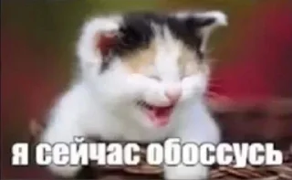 😂 emoji китики Telegram sticker 6 of 119