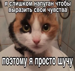 🤡 emoji китики Telegram sticker 20 of 119