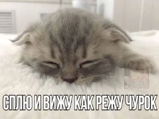 😴 emoji китики Telegram sticker 13 of 119