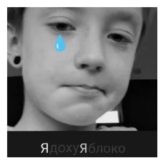 🤕 emoji ИнТимская Империя Telegram sticker 9 of 60