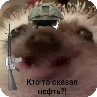 🦔 emoji Ежиная империя Telegram sticker 16 of 25