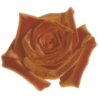 🎮 emoji 𝜗ৎ . .𝒩𝑜𝑜𝒷𝟔𝟔𝟔 ‧˚ ‧ | @FS_AsSe Telegram sticker 5 of 95