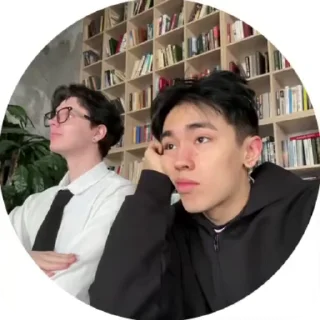 Sticker from Асланыч::@fStikBot