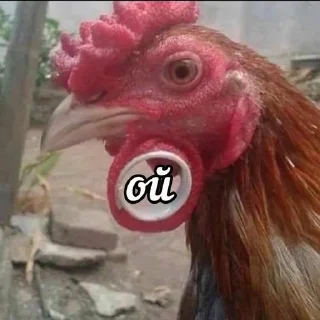 😔 emoji Куринные будни 2 • @musqw5 Telegram sticker 20 of 95