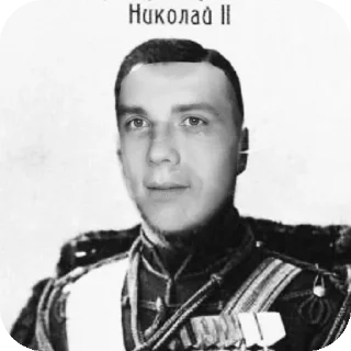 👍 emoji Корнилов чмо ебаное Telegram sticker 8 of 19
