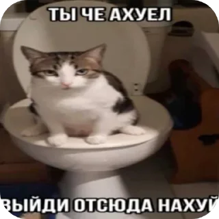 🐱 emoji Медиафайлы с признаками аутизма расизма и гомофобии Telegram sticker 8 of 47