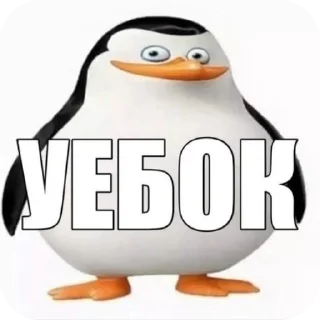 🐦 emoji стикеры от @K1L0UTT30 Telegram sticker 21 of 91
