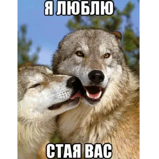 ❤ emoji Волк Telegram sticker 9 of 60