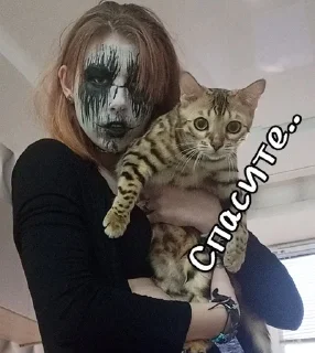 😳 emoji Волк ыыыы Telegram sticker 22 of 27