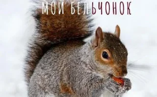 🐿️ emoji Позитивные картинки 🤩 Telegram sticker 23 of 37