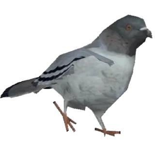 🐦 emoji птички прозрачн Telegram sticker 24 of 28
