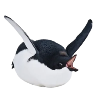 🐦 emoji птички прозрачн Telegram sticker 16 of 28