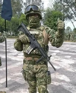 👍 emoji Военная федерация Telegram sticker 23 of 40
