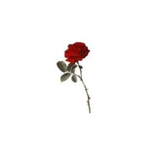 🥀 emoji 𝑅𝑜𝑠𝑎𝑟𝑖𝑎 🥀 Telegram sticker 11 of 35